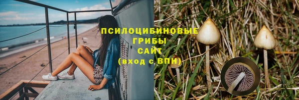 гидропоника Абаза