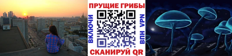 ОМГ ОМГ зеркало  Устюжна  Псилоцибиновые грибы мухоморы 